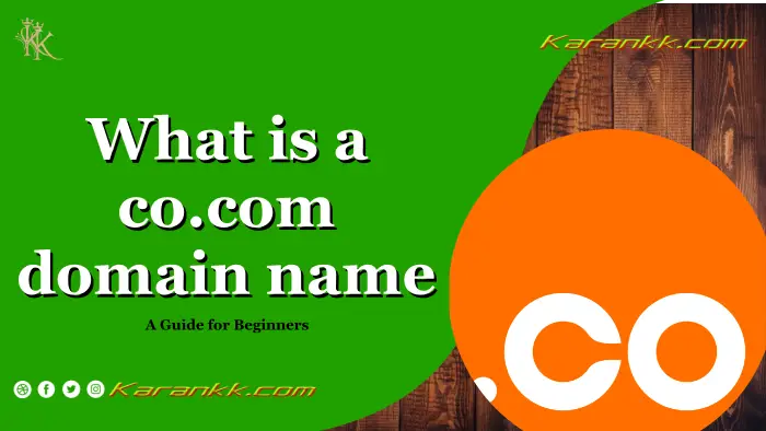 what-is-a-co-domain-name-2024