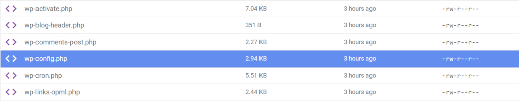 hpanel file manager wpconfig