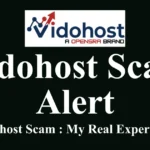 Vidohost.com Review